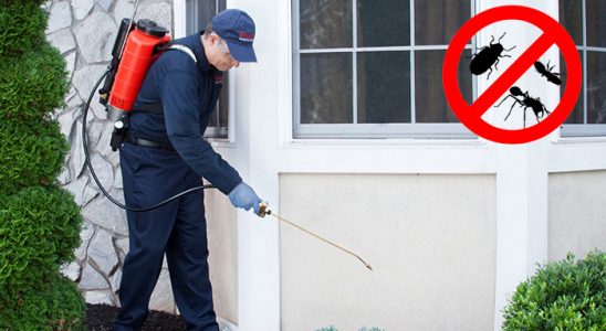 Küçükyalı Pire İlaçlama böcek ilaçlama ve haşere kontrolü — ilaclama-tr.com